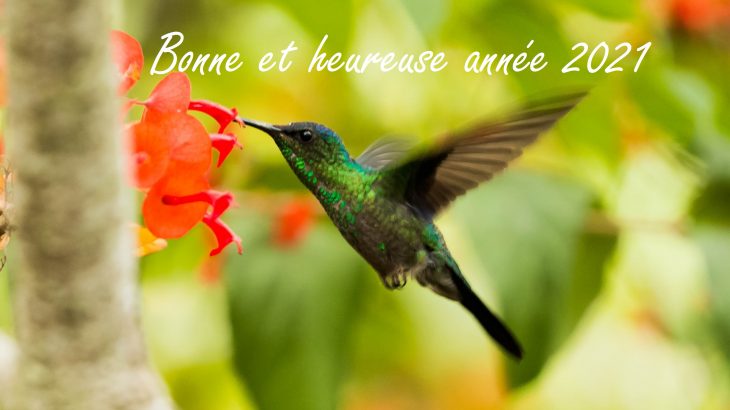 Voeux nouvel an