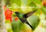 Voeux nouvel an